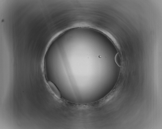 X0000112390815200908201541