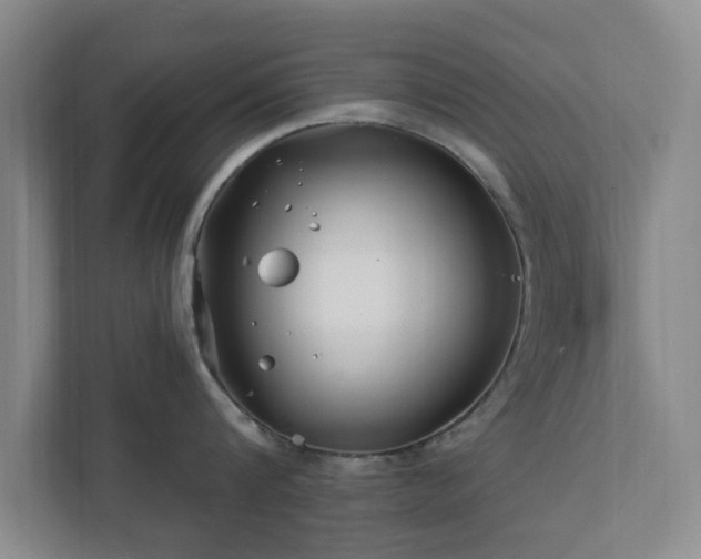 X0000112390816200908201541