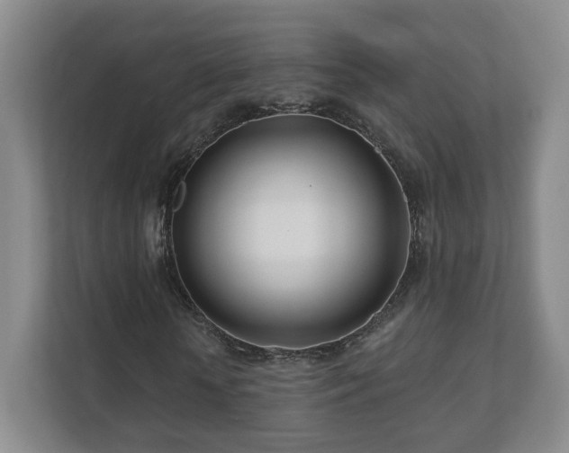 X0000112390818200908201540