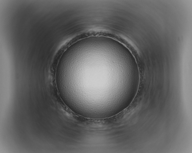 X0000112390823200908201540