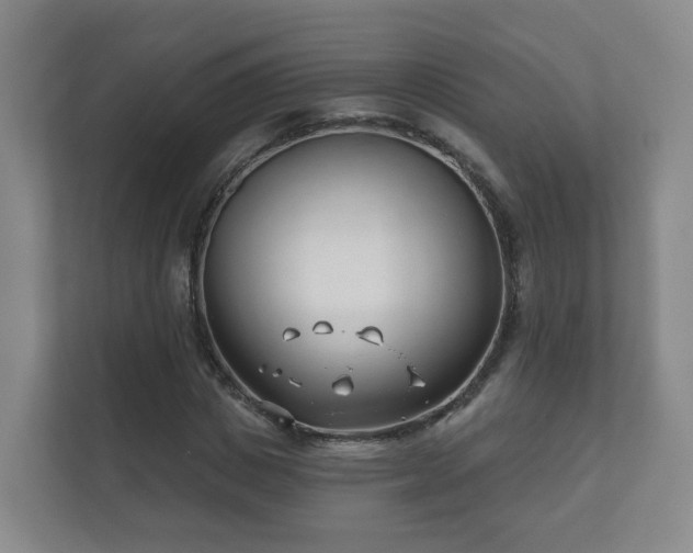 X0000112390825200908201540