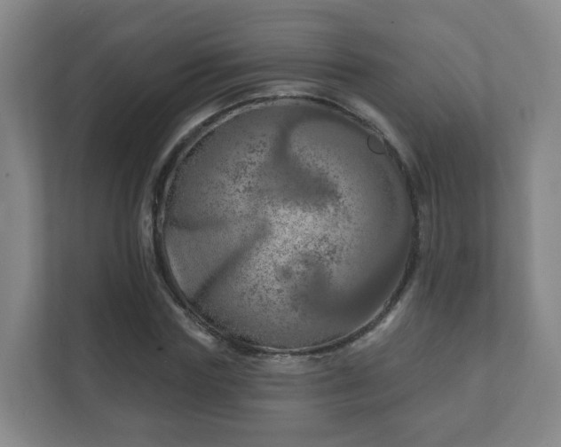 X0000112390827200908201540