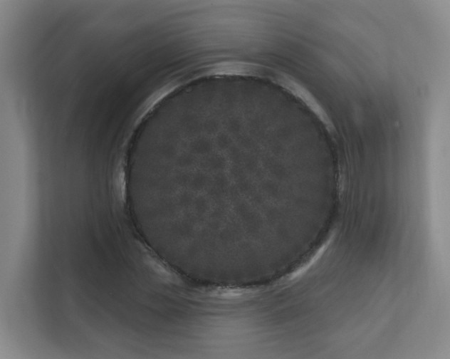 X0000112390829200908201540