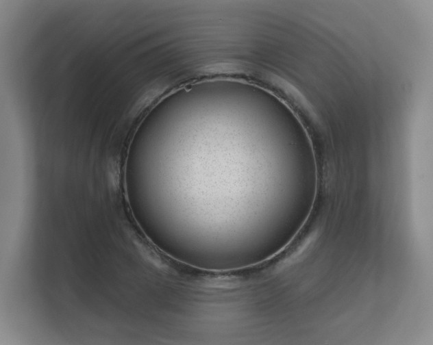 X0000112390833200908201540