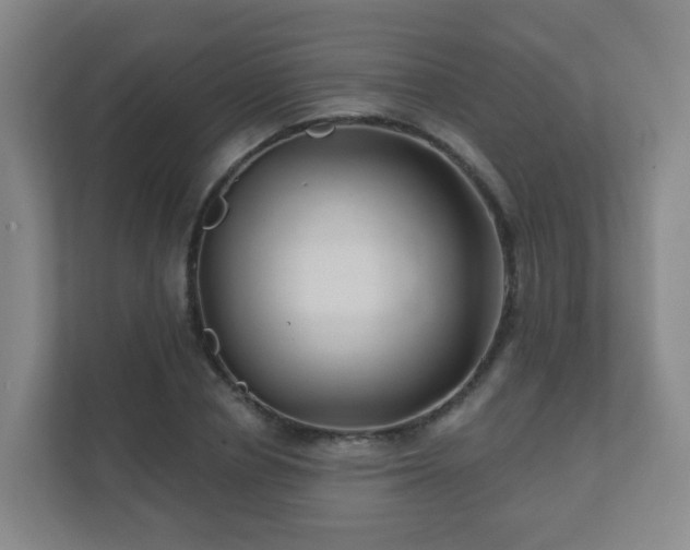 X0000112390834200908201540