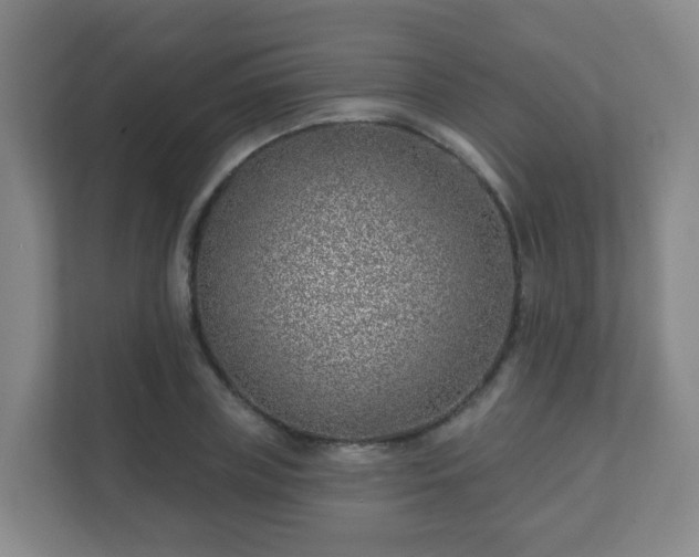 X0000112390835200908201540