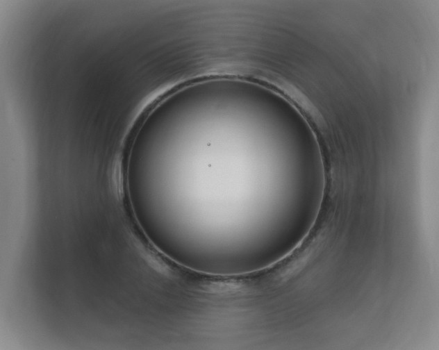 X0000112390838200908201540