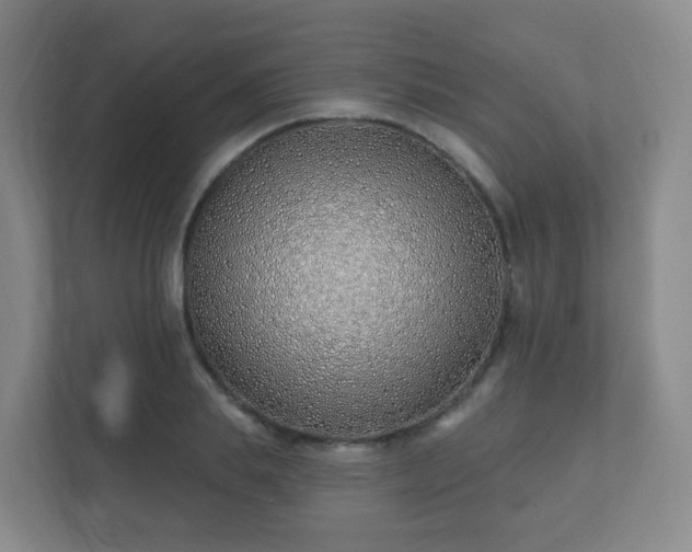 X0000112390839200908201540