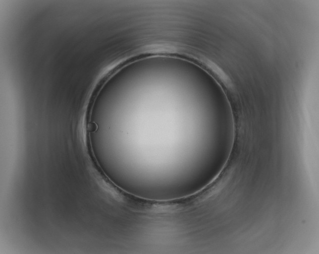 X0000112390840200908201540