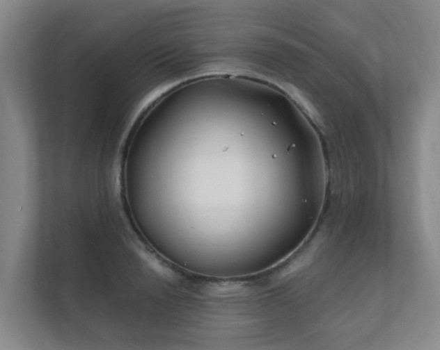 X0000112390846200908201541