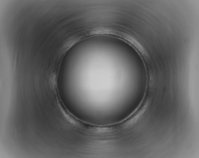 X0000112390849200908201541