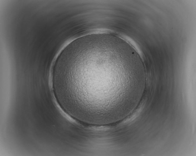 X0000112390851200908201541