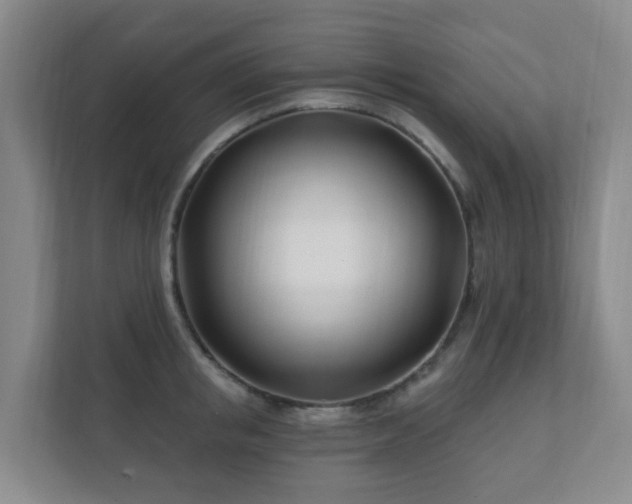 X0000112390853200908201541