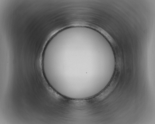 X0000112390856200908201541