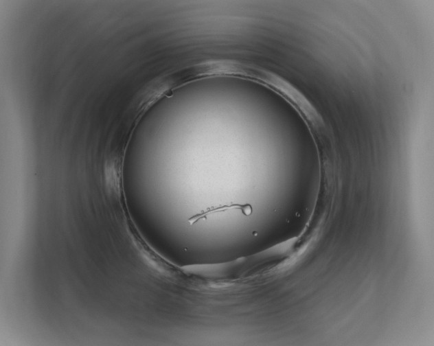 X0000112390857200908201541