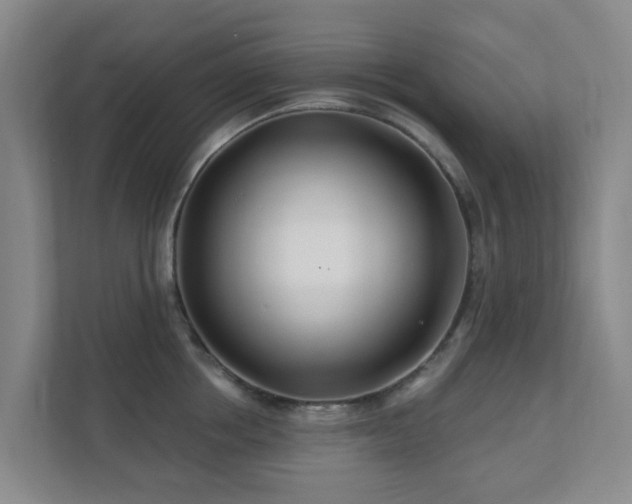 X0000112390858200908201541