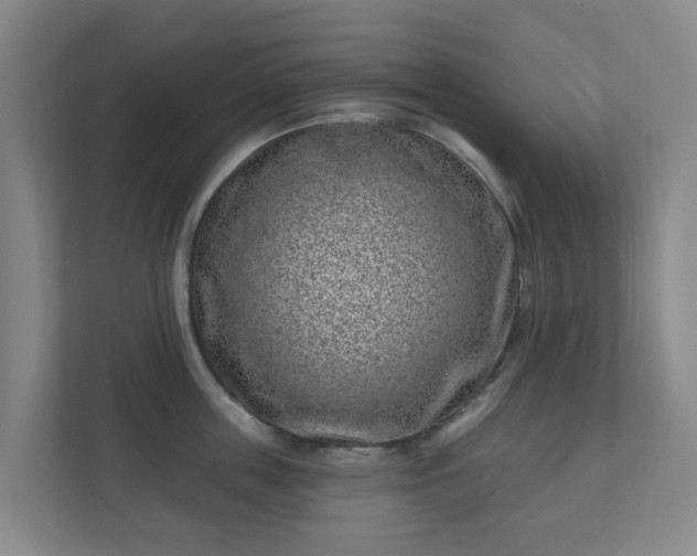 X0000112390859200908201541