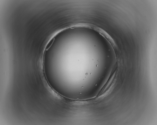 X0000112390860200908201541