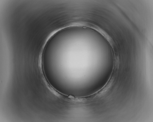 X0000112390862200908201541