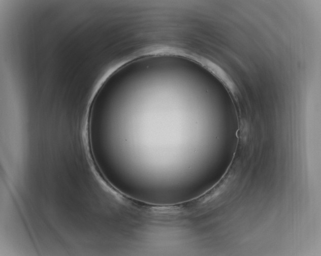 X0000112390863200908201541