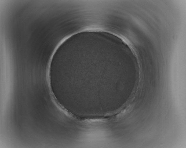 X0000112390864200908201541