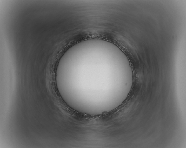 X0000112390865200908201540