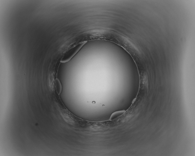 X0000112390868200908201540