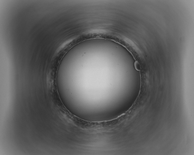 X0000112390872200908201540