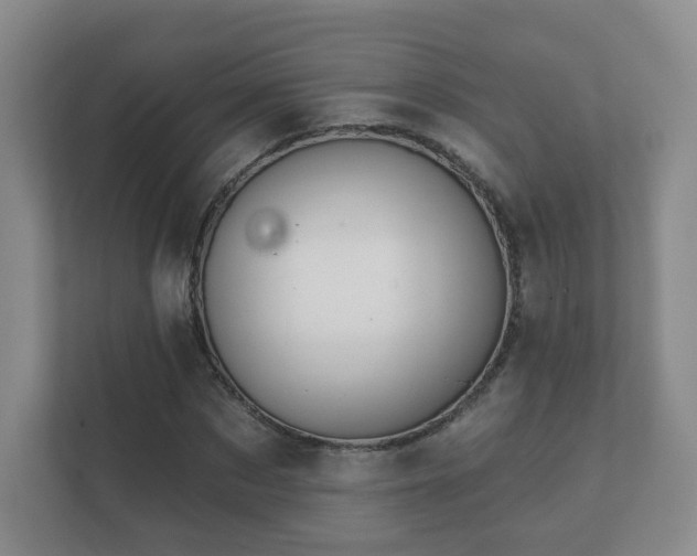 X0000112390873200908201540