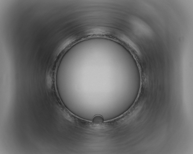 X0000112390874200908201540