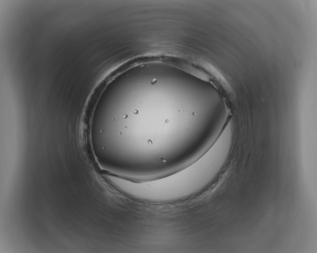 X0000112390876200908201540