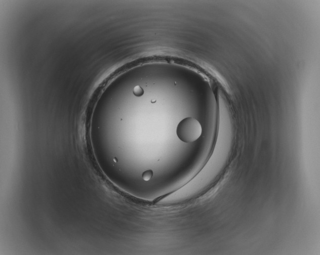 X0000112390877200908201540