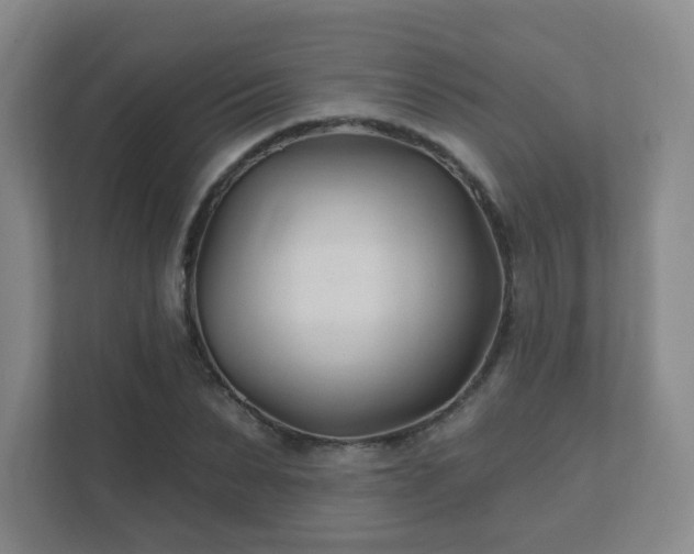 X0000112390879200908201540