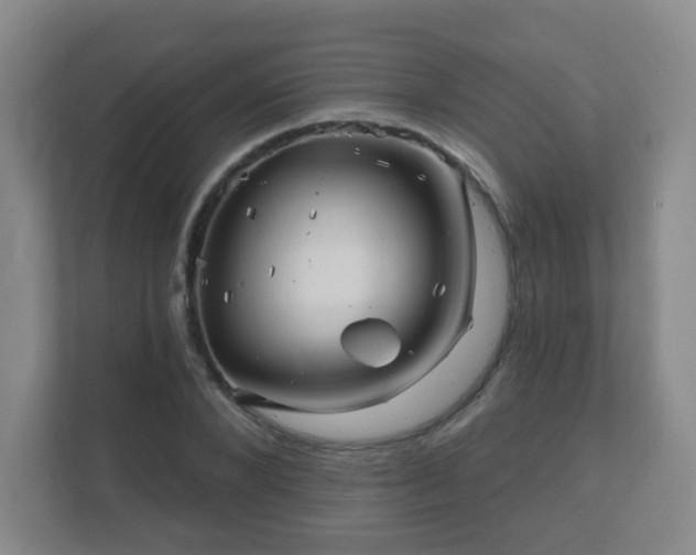 X0000112390880200908201540