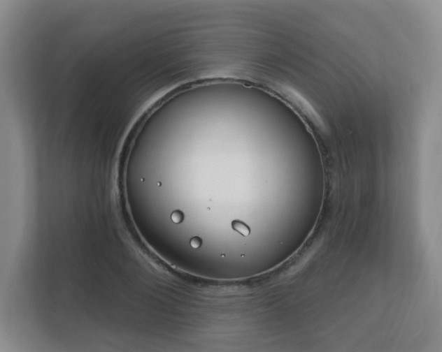 X0000112390884200908201540