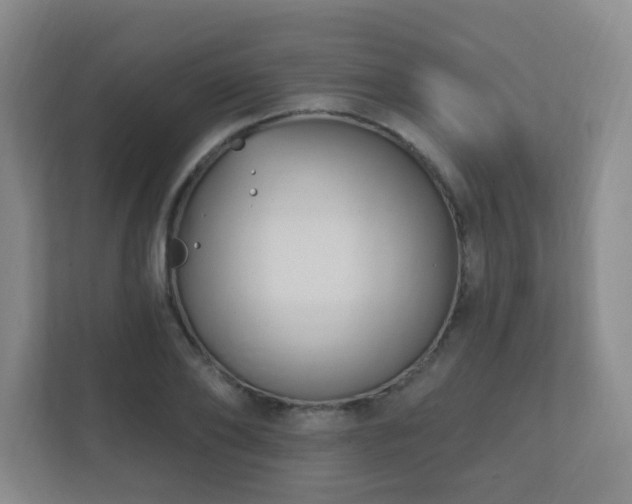 X0000112390886200908201540