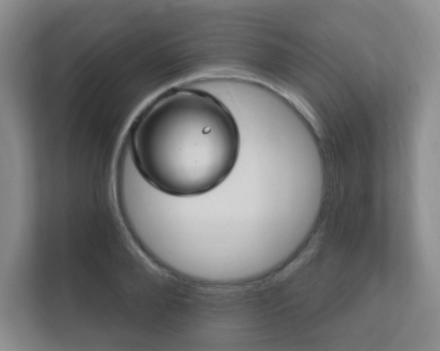 X0000112390888200908201540