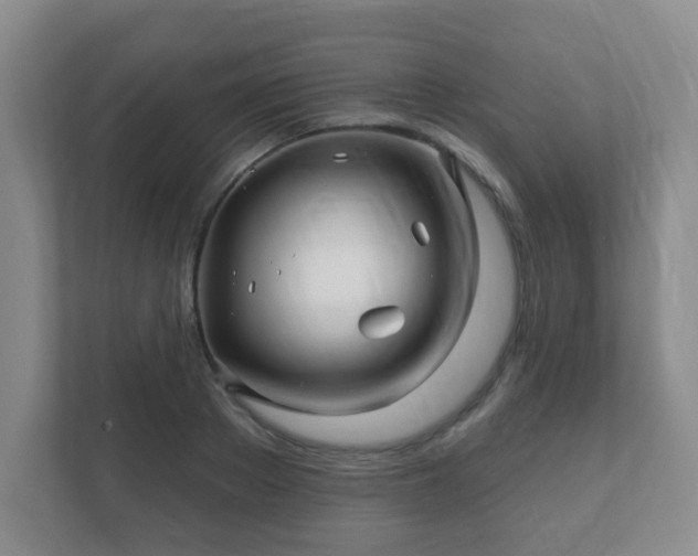 X0000112390889200908201540