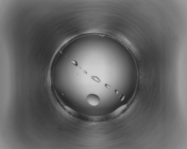 X0000112390892200908201540