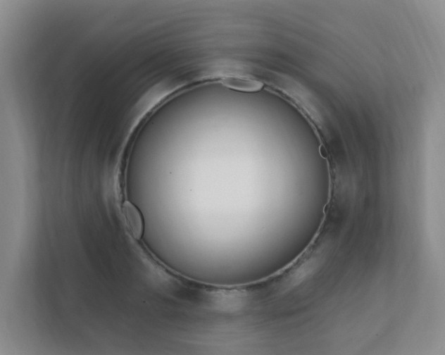 X0000112390893200908201540