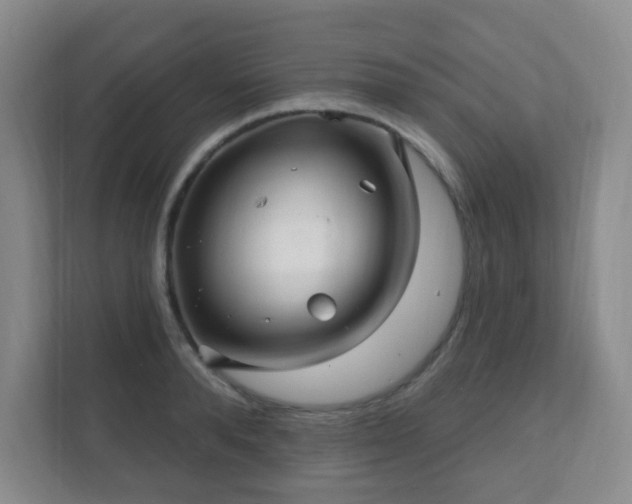 X0000112390896200908201540