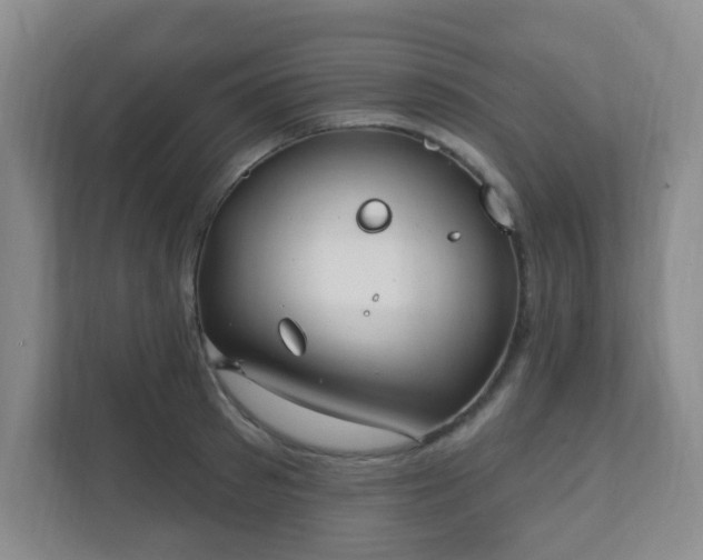 X0000112390897200908201540