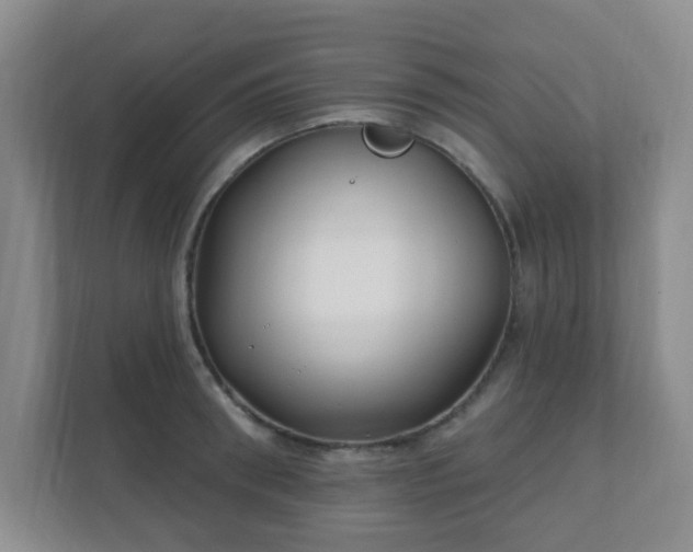 X0000112390898200908201540