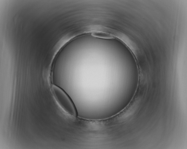 X0000112390901200908201540