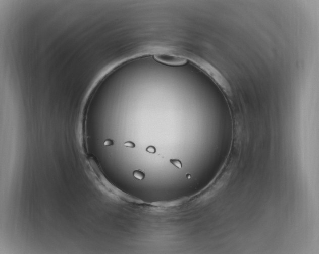 X0000112390904200908201540