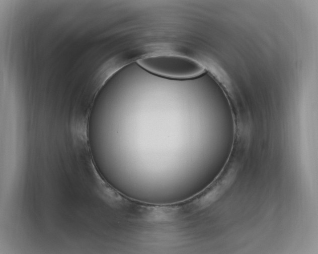 X0000112390905200908201540