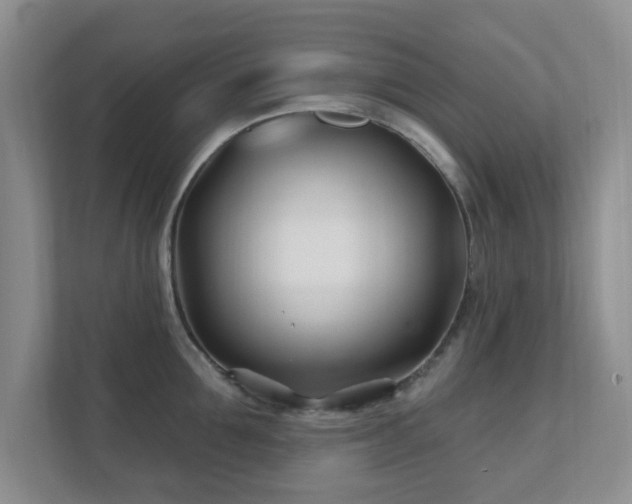 X0000112390907200908201540