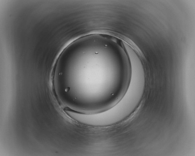 X0000112390908200908201540