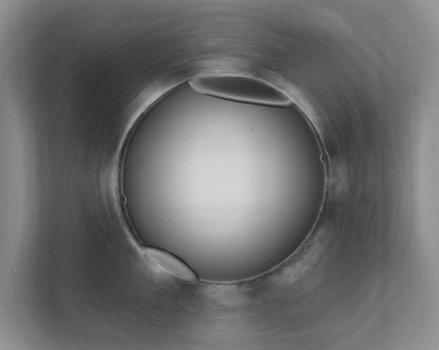 X0000112390909200908201540