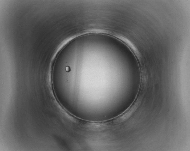 X0000112390910200908201540